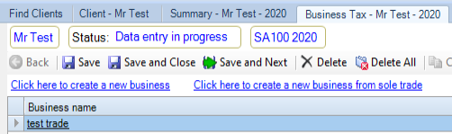 Personal_Tax_Tax-Return-Data-Entry_BusinessTax2.png