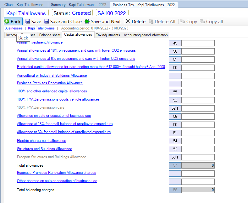 Personal_Tax_Tax-Return-Data-Entry_Business_Tax_Capital-Allowances_1.png