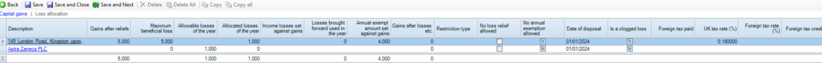 Personal_Tax_Tax_Return_Data_Entry__Carried-Interest-And-Losses-Offset_2.png
