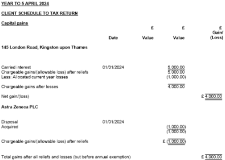 Personal_Tax_Tax_Return_Data_Entry__Carried-Interest-And-Losses-Offset_4.png