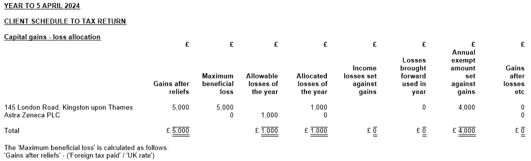 Personal_Tax_Tax_Return_Data_Entry__Carried-Interest-And-Losses-Offset_3.png