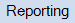 Reporting - about.PNG
