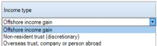 Personal_Tax_Foreign_Other-Income_2.jpg