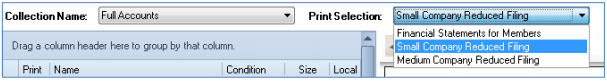Accounts_Production_Master-Pack-Guides_FRS-102_User-Guide_50.png