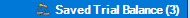 Accounts_Production_Data-Entry-Task-Bar_Transactions_Saved-Trial-Balance-button_1.png