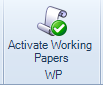whatisworkingpapermanagement2.png