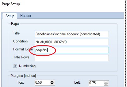Pagesetup.jpg