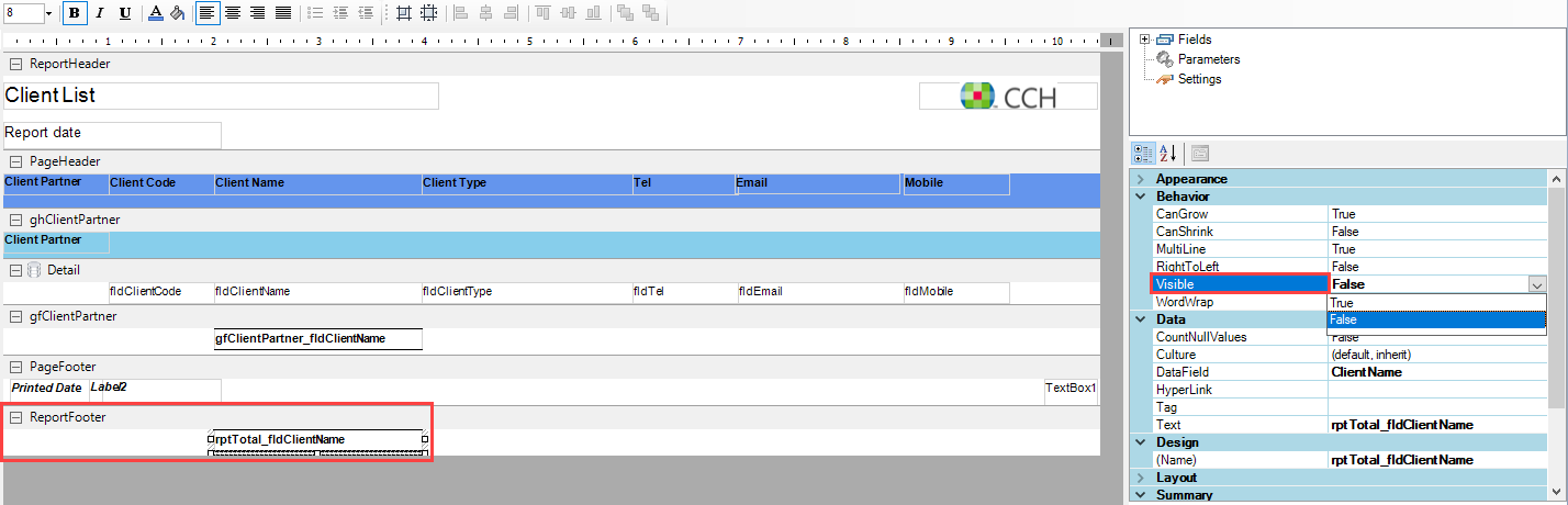 Smart reports - Smart Reports - report designer tab - visible info.PNG