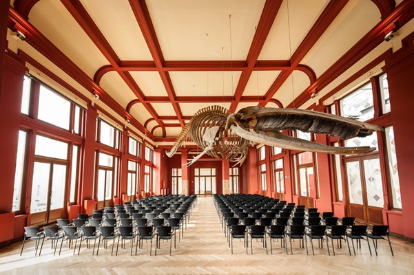 a room with a zoo photo.jpg