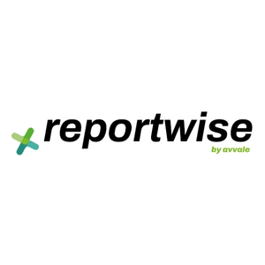 Reportwise Consulting