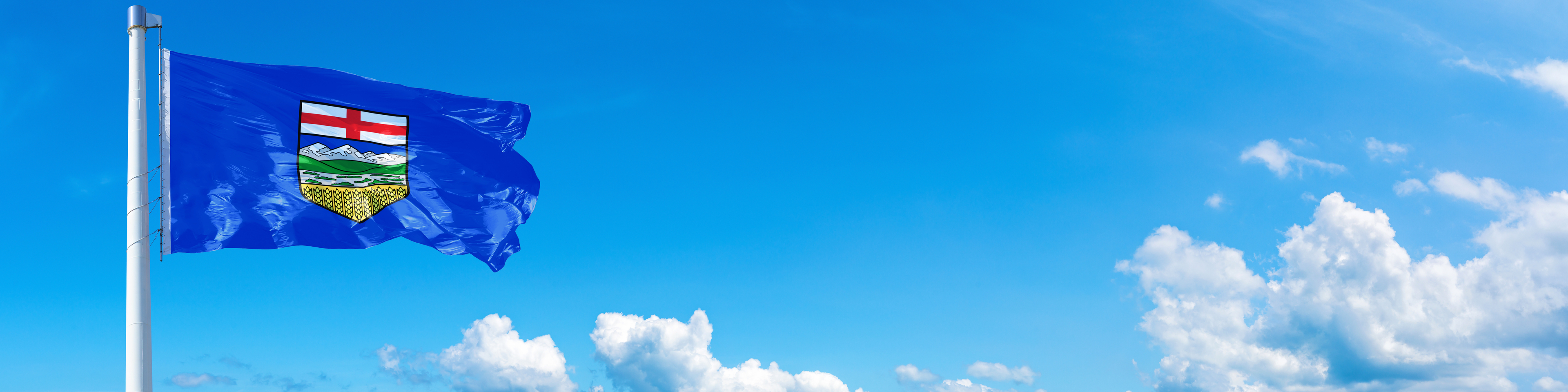 T2 returns: What professionals need to know about filing corporate taxes in Alberta