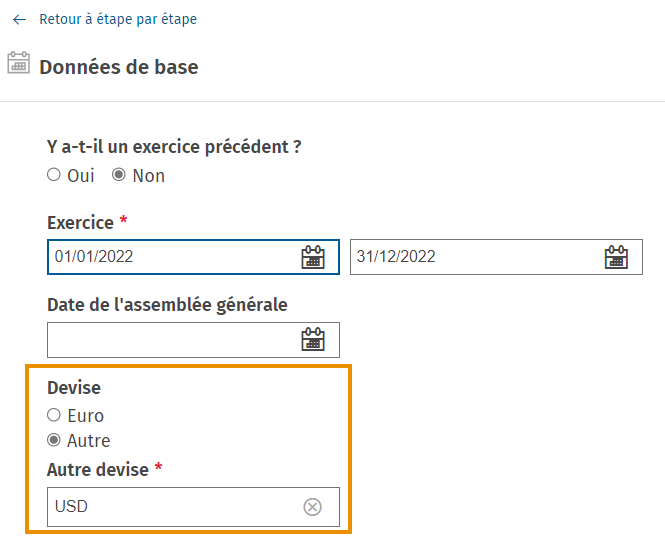 Adsolut Comptes annuels - devise.png
