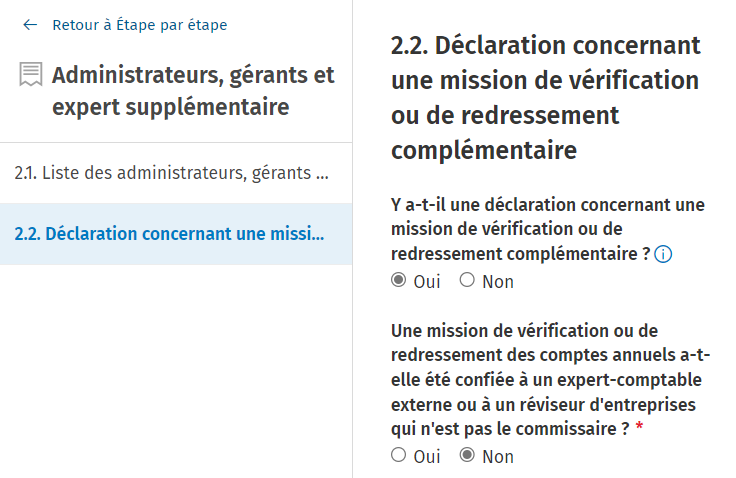 Adsolut Comptes Annuels section 2.2 (oui).png