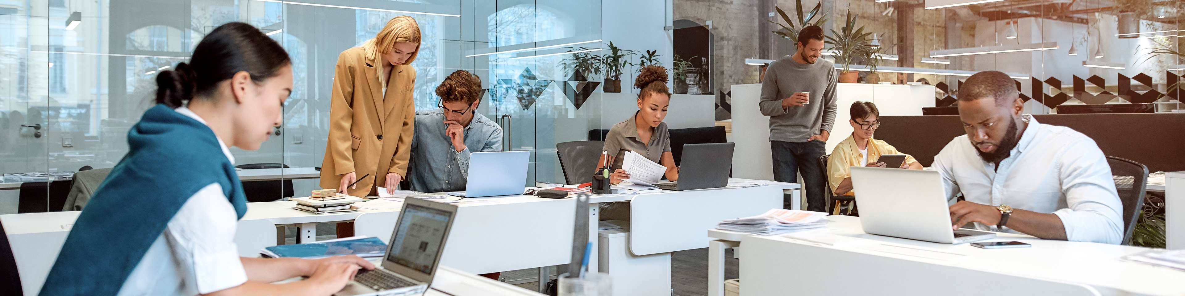 People working at their desks