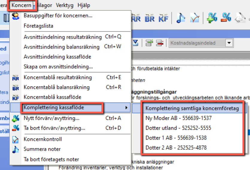 Lägg till rad och ta bort rader i avsnittsindelningen för kassaflödesanalysen6.png