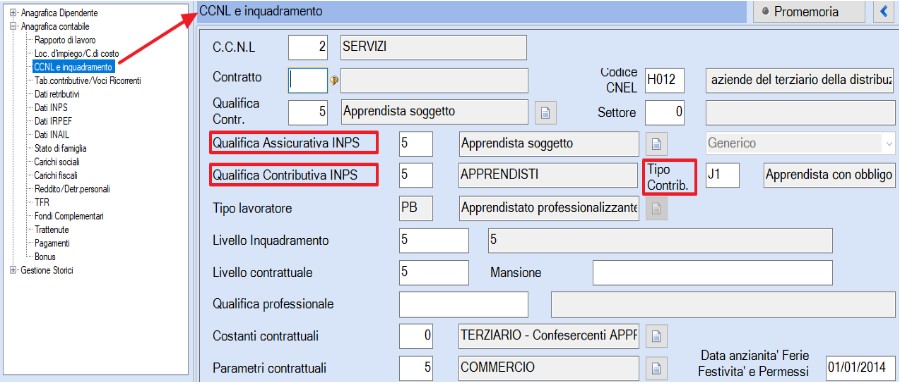 inquadramento apprendista