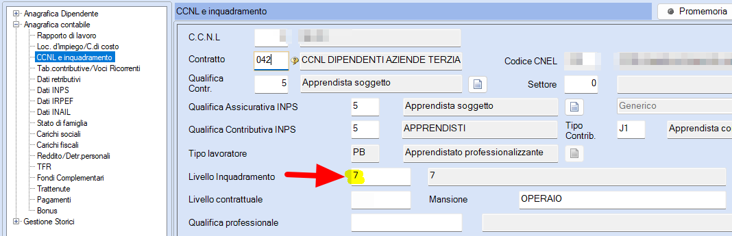 Inquadramento apprendista