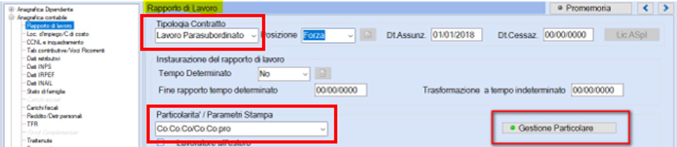 sezione Gestione Particolare