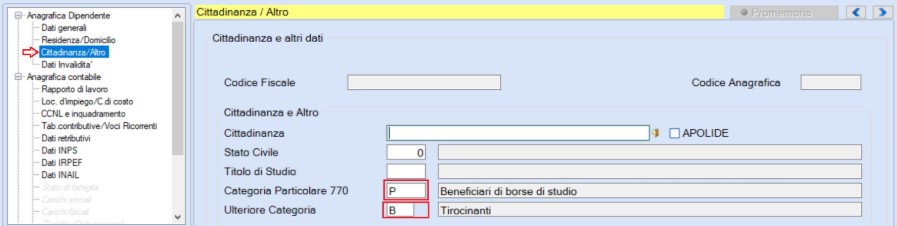 categoria particolare tirocinanti
