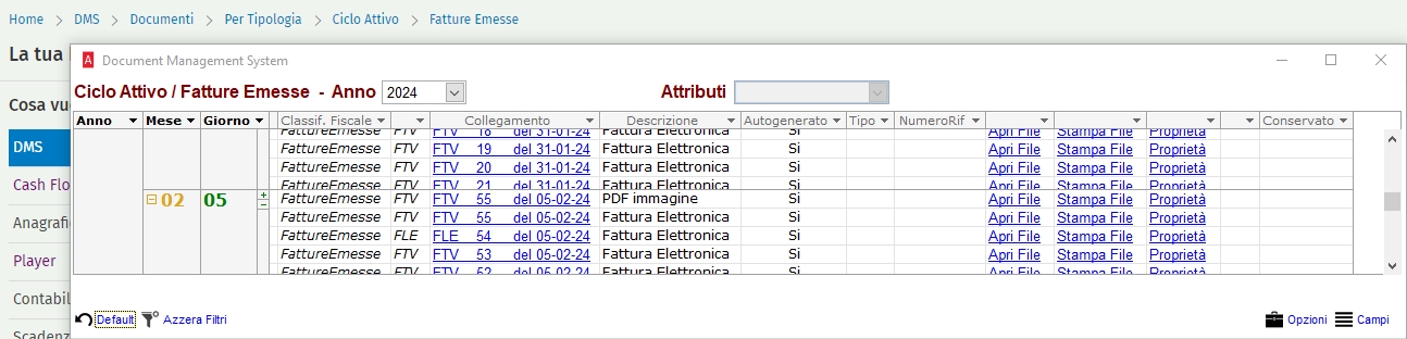Pivot table Dms in visualizzazione