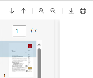 Steuern dsa image47.png