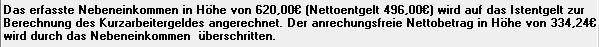 #3473249: Lohn besonderheiten image55.png