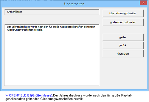#3480678: Jahresabschluss bilanzbericht image39.png