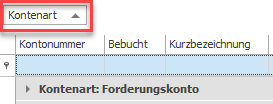 #3492752: Finanzbuchhaltung stammdaten image62.png