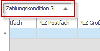 #3493006: Finanzbuchhaltung stammdaten image106.png