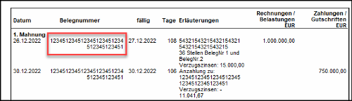 #3494650: Finanzbuchhaltung mahnwes image9.png