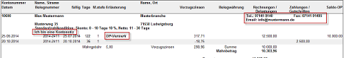 #3494830: Finanzbuchhaltung mahnwes image38.png