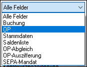 #3495548: Finanzbuchhaltung import ascii dateien image50.png