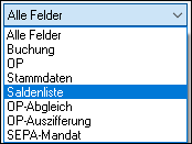 #3495549: Finanzbuchhaltung import ascii dateien image51.png