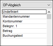 #3495554: Finanzbuchhaltung import ascii dateien image52.png