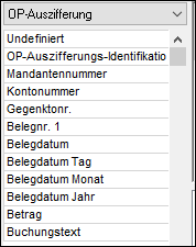 #3495561: Finanzbuchhaltung import ascii dateien image53.png