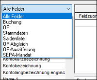 #3495598: Finanzbuchhaltung import ascii dateien image38.png