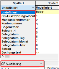 #3495599: Finanzbuchhaltung import ascii dateien image59.png