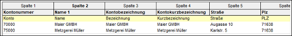 #3495727: Finanzbuchhaltung import ascii dateien image68.png