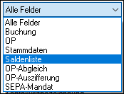 #3496421: Finanzbuchhaltung import ascii dateien image220.png