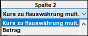 #3496517: Finanzbuchhaltung import ascii dateien image246.png
