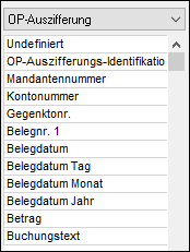 #3496595: Finanzbuchhaltung import ascii dateien image263.png