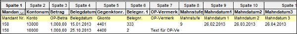 #3496642: Finanzbuchhaltung import ascii dateien image270.png