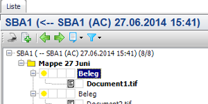 #3508754: Finanzbuchhaltung buchen mit sba image175.png