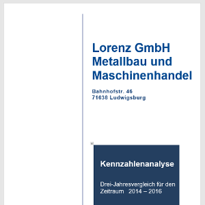 Plus kennzahlenanalyse image69.png