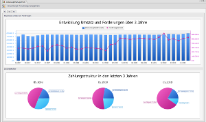 #3516437: Finanzbuchhaltung auswert image347.png