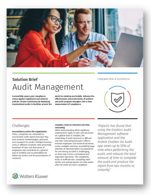audit management preview graphic