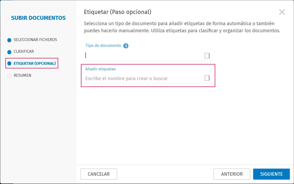 asistente subida de documentos