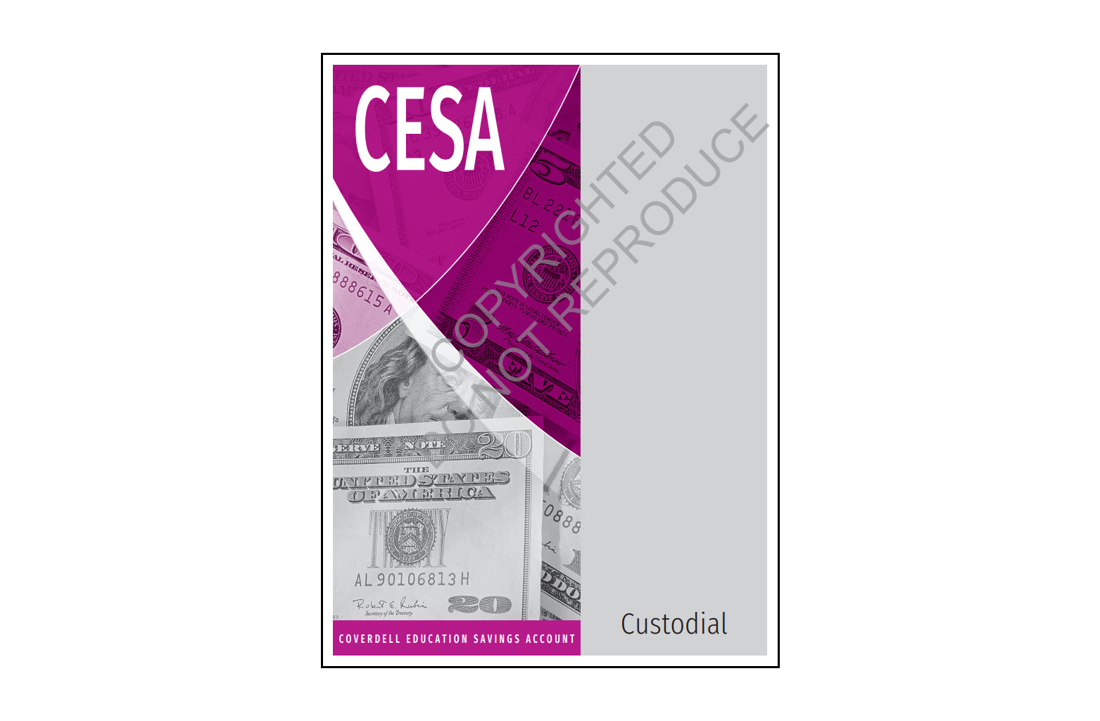 CESA organiser - custodial sample