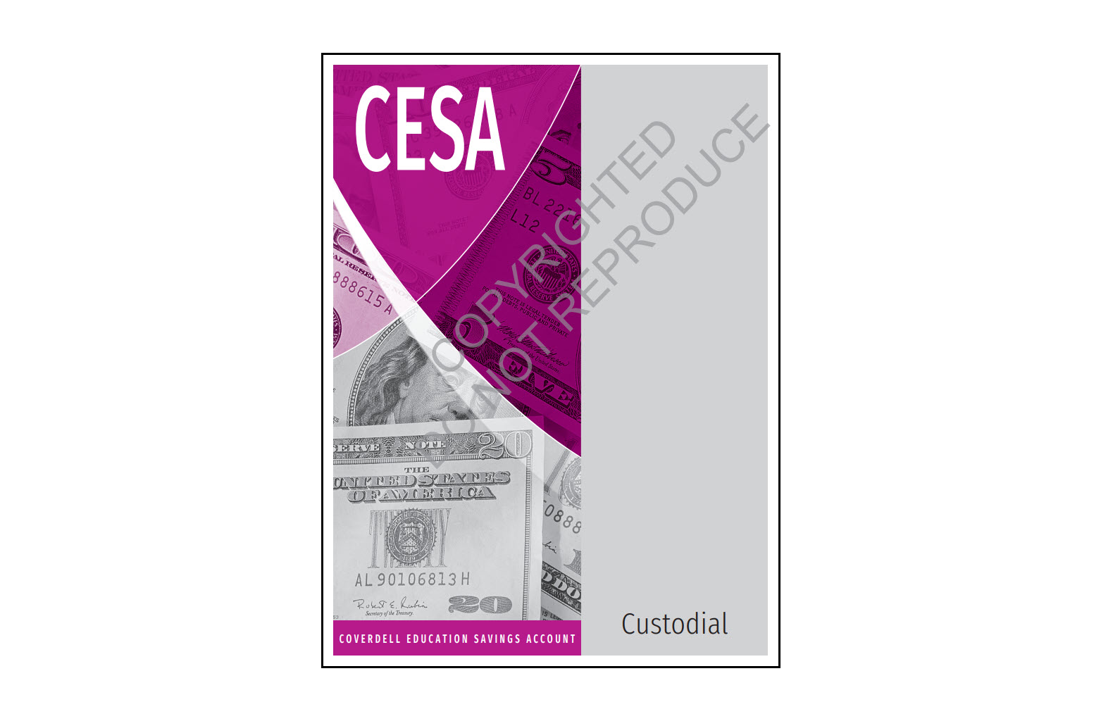 Coverdell Education Savings Account (CESA). organizer - custodial sample