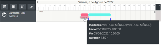 ejemplo visita medica horas